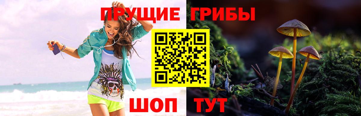 Псилоцибиновые грибы Cubensis  Вход с VPN  Ишим 